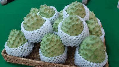 健康網》「釋釋如意」迎新春！ 好吃鳳梨釋迦這樣挑