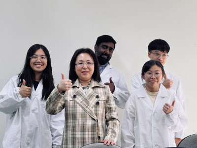 突破性阿茲海默症治療新法！磁性奈米粒子應用 清有毒蛋白質