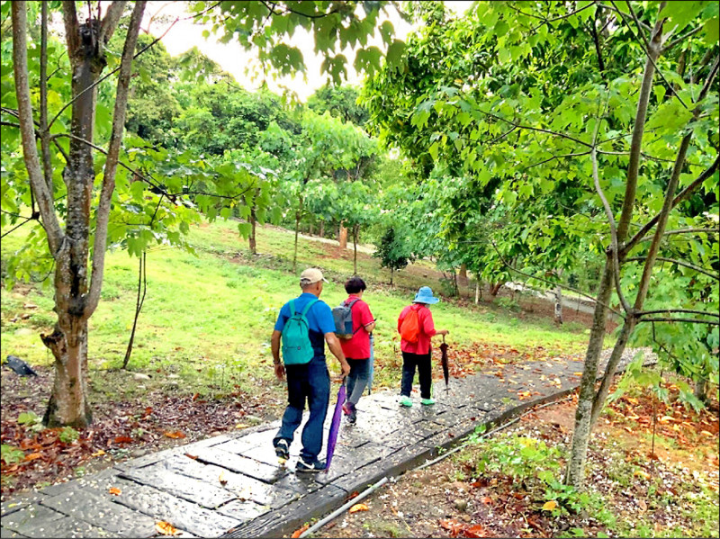 每天勤走路 研究：有助預防憂鬱症