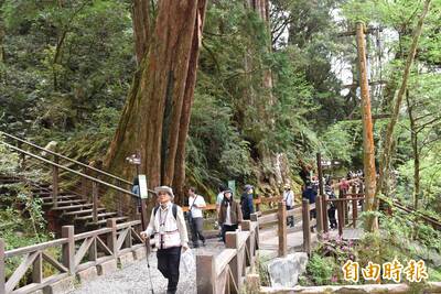 健康網》放假來場「森林浴」！ 醫曝6好處：紓壓又增免疫