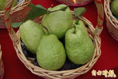 健康網》這「3水果」膳食纖維最高！芭樂穩血糖還降膽固醇