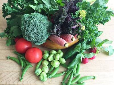 健康網》春分養生好時節！ 專家教「7守則」疏肝護脾胃