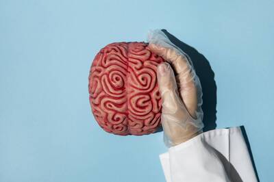 健康網》血腦屏障=大腦防火牆！ 學者：3功能守護腦部健康