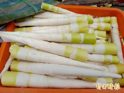健康網》山珍美味登場！ 農糧署推「桂竹筍3吃」料理