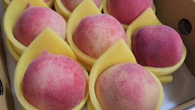 健康網》你都怎麼吃水蜜桃？  農糧署授完美去籽2步驟