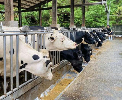 青年學子患「自然缺乏症」？ 國教院長：戶外教育是解方