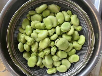 健康網》吃蠶豆保留「它」纖維、多酚豐！ 營養師：忌1吃法