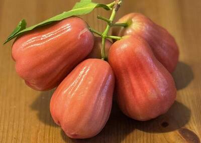 健康網》蓮霧低熱量又解渴！ 研究：抗發炎、改善胰島素阻抗