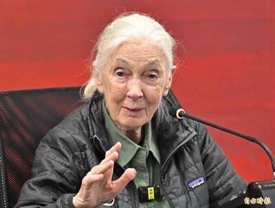 健康網》珍古德辭世！生前推崇素食 專家：全素者蛋白質需多30％