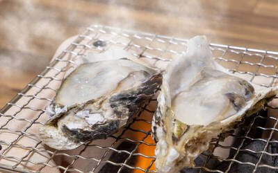 健康網》牡蠣&ne;生蠔！ 補腎養血、抗疲勞超補「鋅」