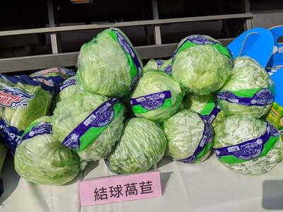 健康網》入秋綠色料理 「萵苣家族」助腸胃減輕負擔