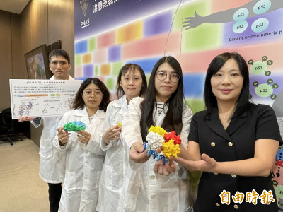 興大團隊破解腫癌抑制蛋白p53被「強制關機」機制 癌症治療新方向