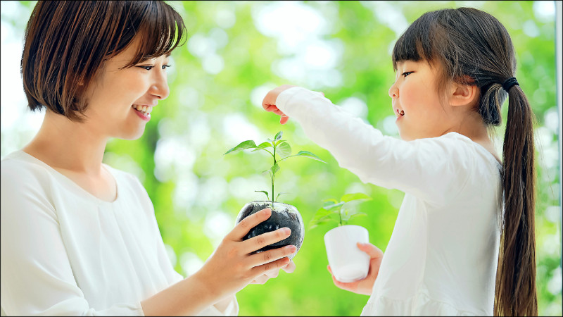 高壓社會的心靈綠洲 用「園藝療法」療癒身心靈