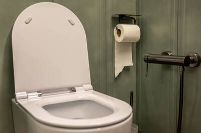 健康網》糞便黏馬桶怎麼了？ 專家分析該注意的腸道問題