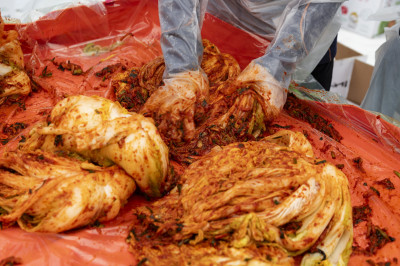 世界泡菜研究所：韓式泡菜不僅增強免疫力 還能精準調節