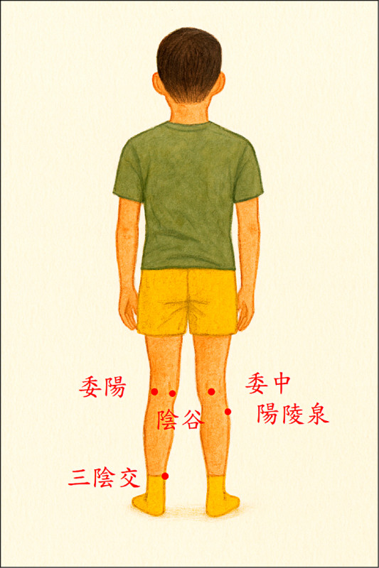 長得快動得多 小球員足跟痛 中醫來幫忙