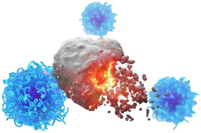 抗癌新希望！mRNA讓老鼠免疫力年輕化 提升檢查點抑制劑療效