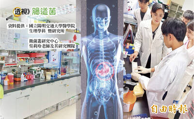 透視腸道菌》血管會跟腸道菌一起變老  1新療法成護心大法