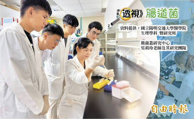 透視腸道菌》藥效失靈？ 研究：腸道菌群恐暗中「護航」敏感菌