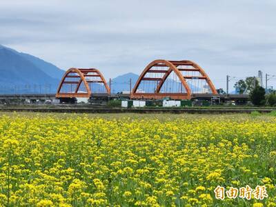 健康網》「油菜花」正當季 營養師分享營養與煮法