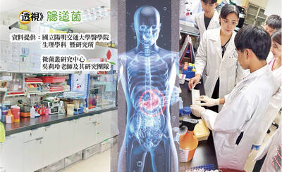 透視腸道菌》1飲食缺乏會讓腸菌亂啃 壞菌保護防線退守