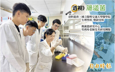 透視腸道菌》護肝先顧腸 研究：腸道壞菌讓纖維化加劇