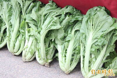 健康網》過年呷長年菜 不必「苦盡甘來」料理撇步學起來