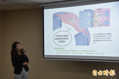 台大團隊搶先全球 解開主動脈誘發氣管軟骨生成之謎