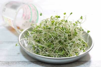 健康網》改善脂肪肝別只靠保健品 醫推2蔬菜黃金組合助排毒