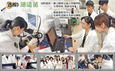 透視腸道菌》帕金森病與腸菌變化相關 4法齊下延緩退化