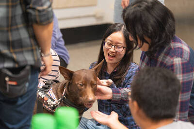 健康網》幫浪犬成為「心輔犬」撫慰人心 人才培育計畫開跑