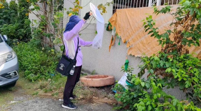 遊馬爾地夫染登革熱 南市今年第2例境外移入