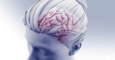 美研究發現隱藏大腦迴路 與慢性疼痛相關