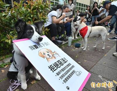 人藥轉動物保護用藥免登錄 寵物用人藥新制擬延後上路