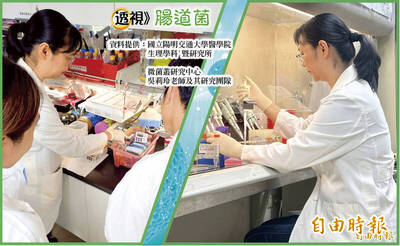透視腸道菌》腸道菌叢與脂質代謝交互作用 影響免疫力重建