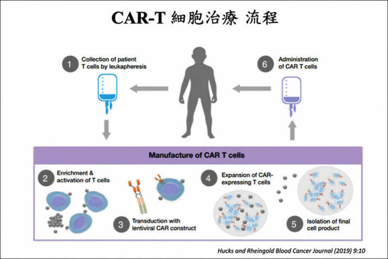 癌細胞還沒消滅免疫細胞先累了 研究找到CAR-T「疲乏開關」
