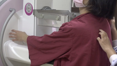 3大資料庫揭密！父母都是客家人 女性罹乳癌風險比閩南人低25％