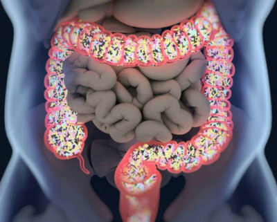 腸道細菌或「傷腦」 研究：特殊化合物與阿茲海默症相關