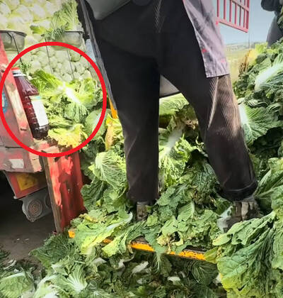 健康網》中國白菜驚爆泡甲醛  專家警告「福馬林」吃不得