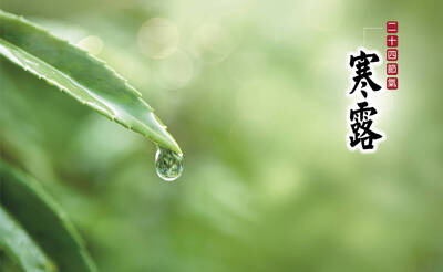 寒露，迎秋涼》別只盲目抗寒！ 中醫曝「這部位」沒顧好 感冒易上身