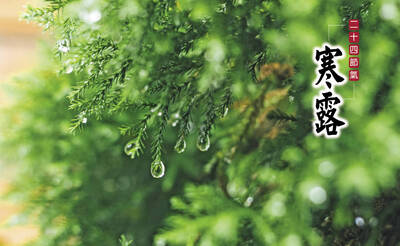 今天寒露》5白色食物潤肺抗秋燥 這1物溫補聖品