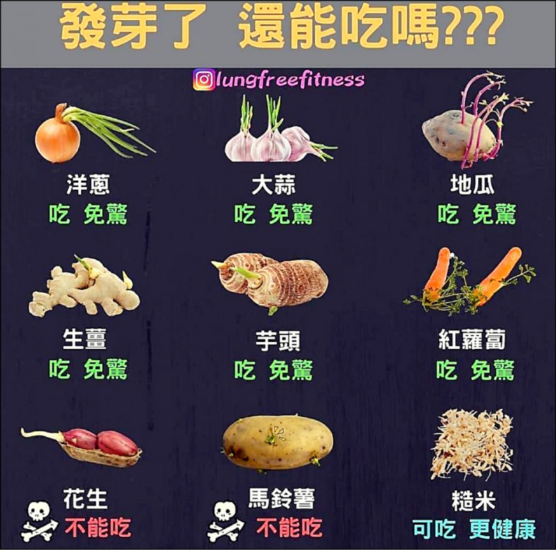 發芽食物 能不能吃? 馬鈴薯不行 花生可吃