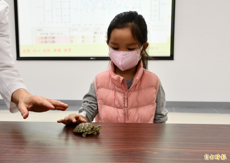 6歲童飼養小烏龜染沙門氏菌 發燒腹瀉急性腸胃炎 - 即時新聞 - 自由健