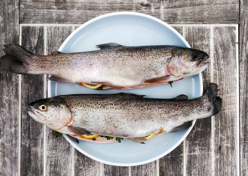 魚肉中參雜著魚骨,若被魚刺「卡到」喉嚨容易受傷,特別是老人、小孩更需要多加留意。農委會教民眾如何用筷子3步驟去魚刺;圖為情境照。(圖取自Unsplash) phpDg18mB