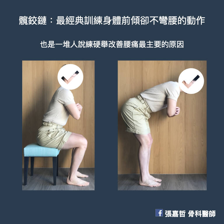 phpltXTHR