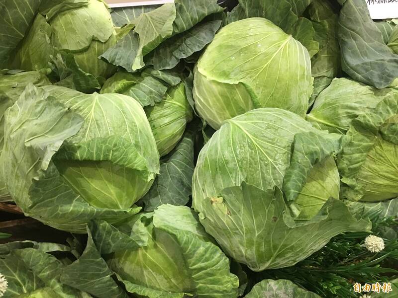 Health Net The Key To Preserving Cabbage Council Of Agriculture Do 1   Phps2COi7 