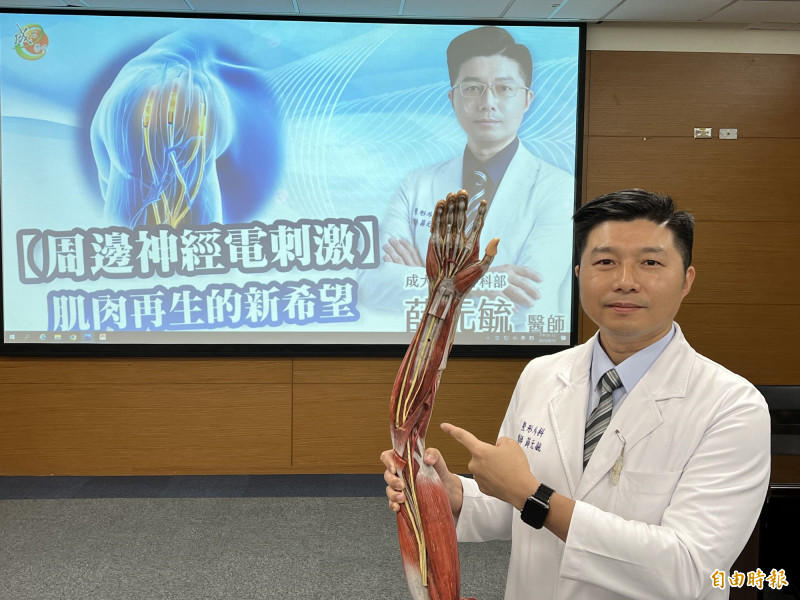 對周邊神經損傷、肌肉萎縮電刺激,成大醫院整形外科醫師薛元毓指經動物實驗有其效用,明年可望進入人體試驗階段。(記者王俊忠攝) 4275302 1