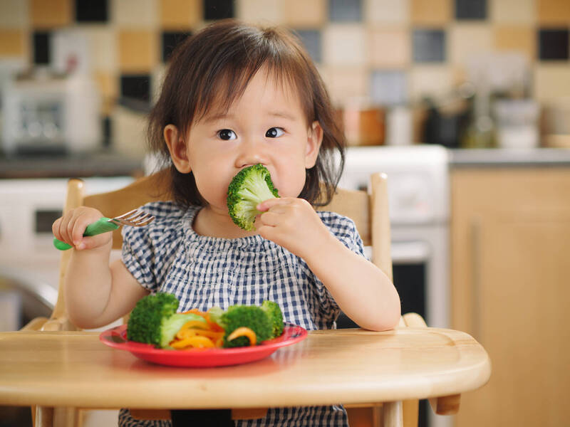 許育禎提及，7歲前是腦部發育的黃金期，平常可多食用富含維生素B群、礦物質及脂肪的食物；圖為情境照。（圖取自shutterstock）