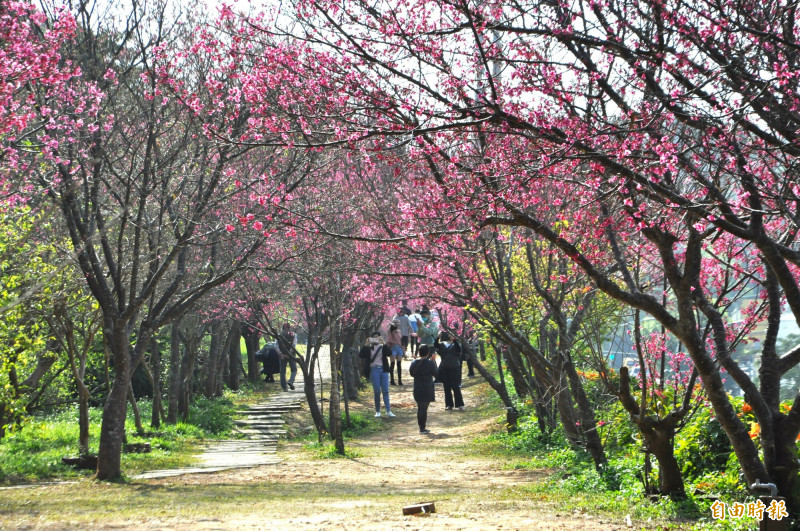 台灣,|春節連假掌握飲食6原則  不怕年後體重增 - 自由健康網
