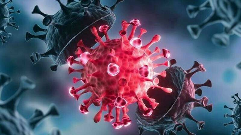 病毒研究大躍進，科學家發現病毒掌握核糖體蛋白編碼能力；示意圖。（圖取自Unspalsh）
